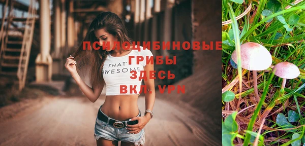 ПСИЛОЦИБИНОВЫЕ ГРИБЫ Аркадак