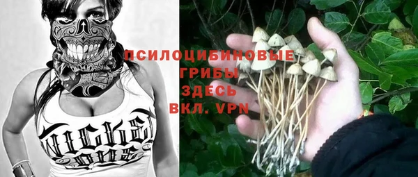 ПСИЛОЦИБИНОВЫЕ ГРИБЫ Аркадак
