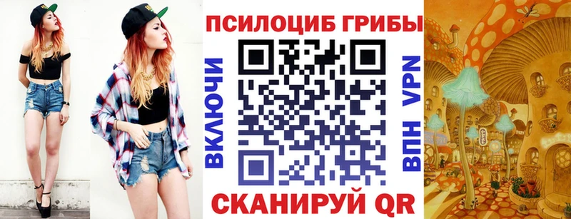Псилоцибиновые грибы MAGIC MUSHROOMS  Починок 